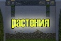 посадочный материал, растения, деревья, саженцы, крупномеры